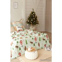 Евро комплект постельного белья Этель Волшебное время 4935581