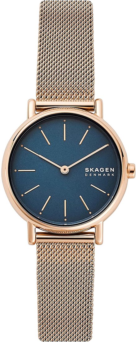 

Наручные часы Skagen SKW2837