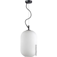 Подвесная люстра Odeon Light Roofi 4752/1