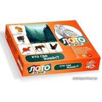 Развивающая игра Десятое королевство Кто где живет? 00078