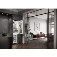 Холодильник Liebherr ICBNdi 5173 Peak BioFresh NoFrost