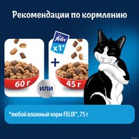 Сухой корм для кошек Felix Двойная вкуснятина с мясом 600 г в Гомеле