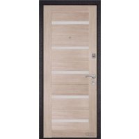 Металлическая дверь Металюкс М24/1