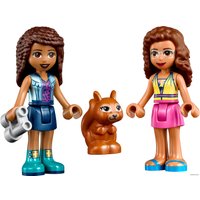 Конструктор LEGO Friends 41677 Лесной водопад