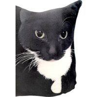 Декоративная подушка Мальвина Максвелл Кот Мем 9.438.1 в Витебске