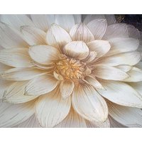 Виниловые обои Саратовские обои Аврора С31-124-04