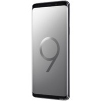 Смартфон Samsung Galaxy S9+ Dual SIM 64GB Exynos 9810 (титан)