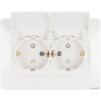 Розетка Schneider Electric BLNRS441121