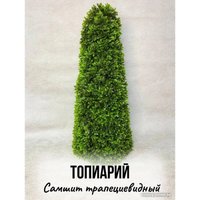 Искусственное растение Merry Bear Home Decor Туя трапецевидная KA0036