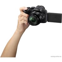 Фотоаппарат Panasonic Lumix DMC-FZ300