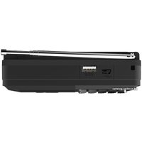 Радиоприемник Ritmix RPR-001 (черный)