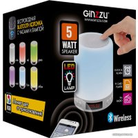 Беспроводная колонка Ginzzu GM-893W
