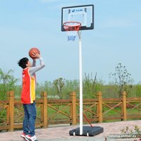 Баскетбольная стойка Scholle S034