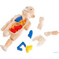 Набор для опытов Эврики Мое удивительное тело 5483302