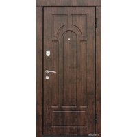 Металлическая дверь Титан Триумф