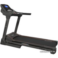 Электрическая беговая дорожка Bronze Gym T802 LC