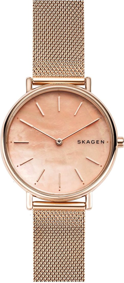 

Наручные часы Skagen SKW2732