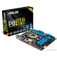 Материнская плата ASUS P8B75-M LE