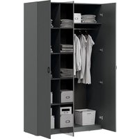 Шкаф-купе Трия Тиффани (серый графит/графит матовый) в Борисове