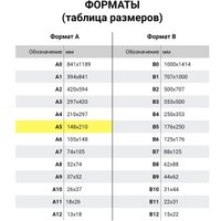 Набор информационных карманов Staff 270571 (10 шт)
