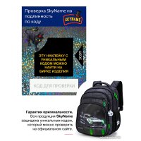 Школьный рюкзак SkyName R3-276 + брелок мячик