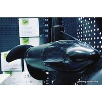 Лодочный мотор Greenworks G40TM55 (без АКБ и ЗУ)