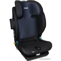 Детское автокресло Casual Goldfix Eco VTN37 (blue)