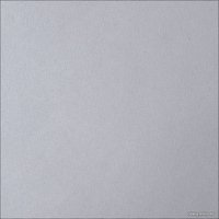 Рулонные шторы АС МАРТ Шатти 61x150 (светло-серый)
