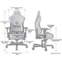 Игровое (геймерское) кресло AndaSeat T-Pro 2 (серый/черный)