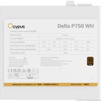 Блок питания Ocypus Delta P750 Delta-P750-B1FDWH025X-EU