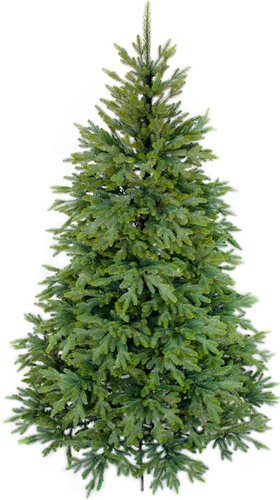 Ель Dorpen DOR-25К Корейская 2.5 м