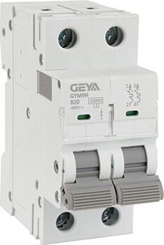 

Выключатель автоматический GEYA GYM9H-2P-20B 2P 20A B 10kA 2M GYM9H2P20B