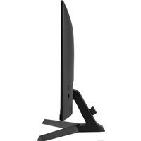 Игровой монитор Iiyama G-Master Black Hawk G2440HSU-B1