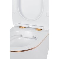 Унитаз подвесной Roxen Antares Gold в комплекте с инсталляцией StounFix Dual Fresh 6 в 1 968092 (кнопка: золото глянцевое )