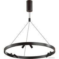 Подвесная люстра Odeon Light Beveren 6683/103L