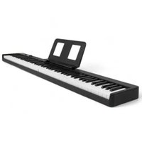 Цифровое пианино PIANOVA L-3 BK в Гомеле