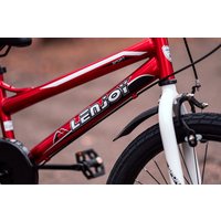 Детский велосипед Lenjoy Sports Finder 20 2024 LS20-1RED (красный)