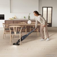 Пылесос Electrolux ES52B25WET