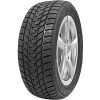 Зимние шины Delinte Winter WD1 225/55R17 97T