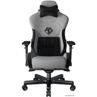 Игровое (геймерское) кресло AndaSeat T-Pro 2 (серый/черный)