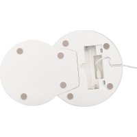 Кормушка электронная Tesler PSF-001