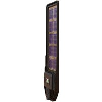 Уличный прожектор Arte Lamp Avior A9400AL-1BK