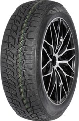 Snow Chaser 2 AW08 175/65R14 82T