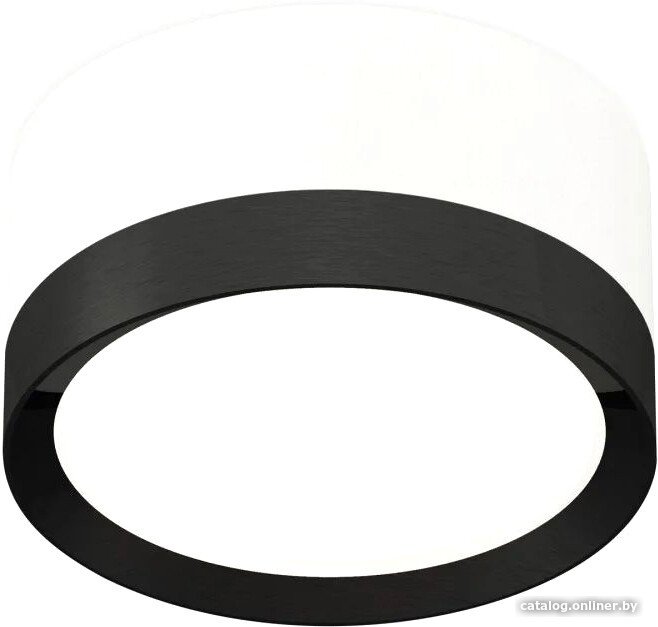 Точечный светильник Ambrella light Techno spot XS8101002 SWH/PBK