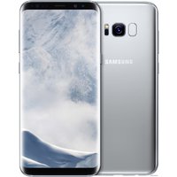 Смартфон Samsung Galaxy S8+ 64GB (арктический серебристый) [G955F]