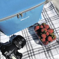 Термосумка БИОСТАЛЬ Кантри TCD-B 20л (лазурный)