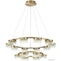 Подвесная люстра Odeon Light Fivre 5032/96L