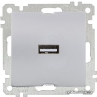 Розетка USB Mutlusan Daria 2100 448 0182 (серебристый)