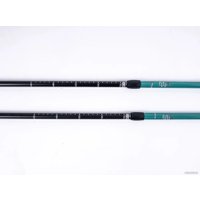 Палки для скандинавской ходьбы Tech Team Yeti (celadon)