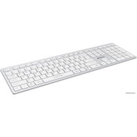 Клавиатура A4Tech Fstyler FBX50C (серебристый/белый)
